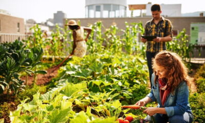 Boosting Your Garden Business with Branded Plant Containers