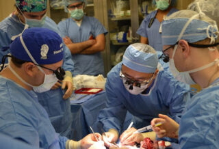 surgical training