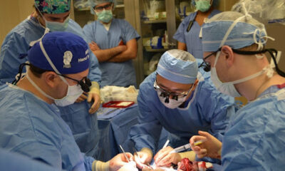 surgical training