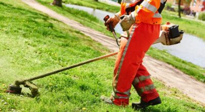 Lawn Maintenance