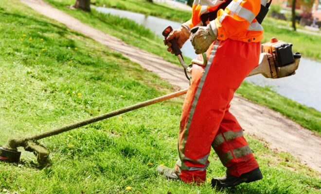 Lawn Maintenance